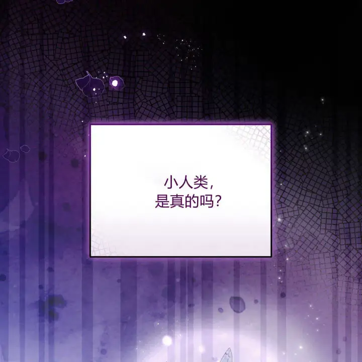 《精灵小姐，请和我签订契约吧》第07话图30