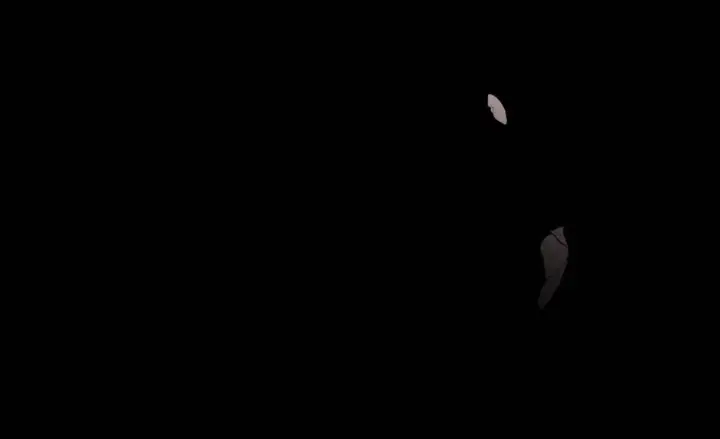 《精灵小姐，请和我签订契约吧》第11话图6