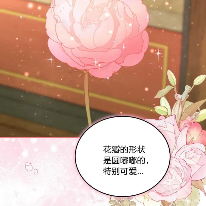 《精灵小姐，请和我签订契约吧》第16话图22