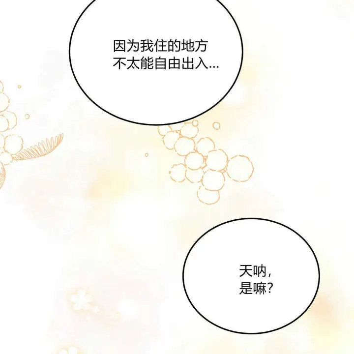 《精灵小姐，请和我签订契约吧》第16话图56