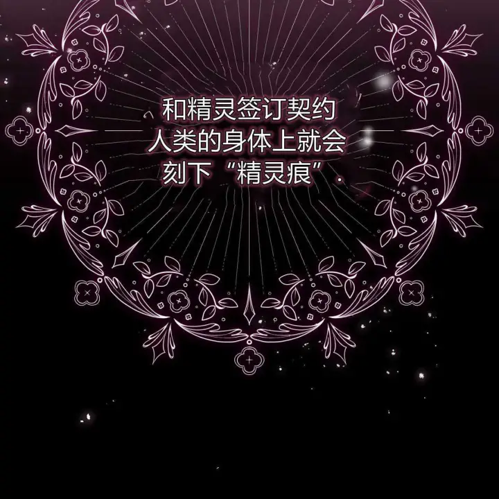 《精灵小姐，请和我签订契约吧》第18话图17