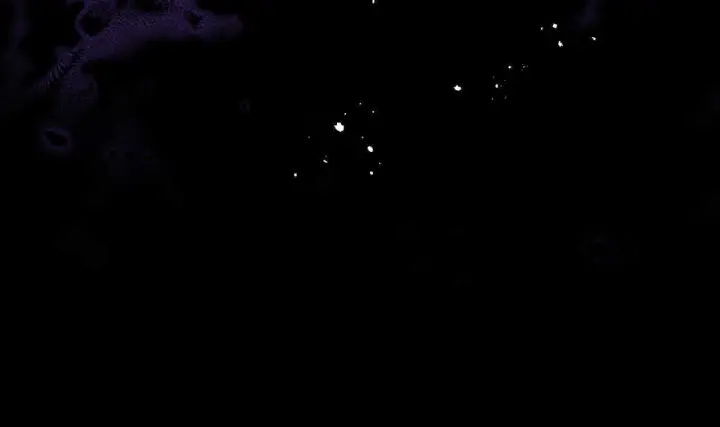 《精灵小姐，请和我签订契约吧》第19话图22