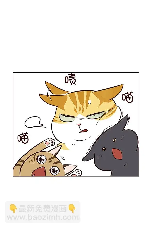 《觉醒吧，铲屎官！》第7话图92