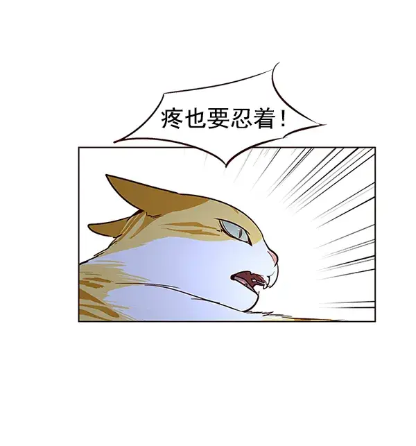 《觉醒吧，铲屎官！》第8话图97
