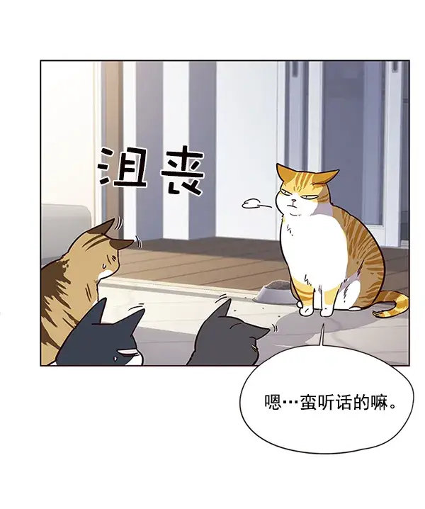 《觉醒吧，铲屎官！》第9话图37