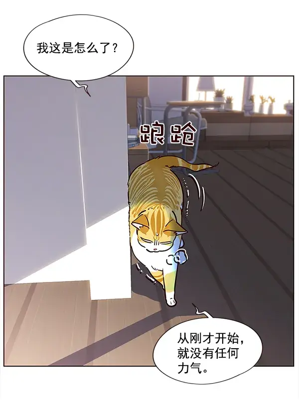 《觉醒吧，铲屎官！》第11话图31