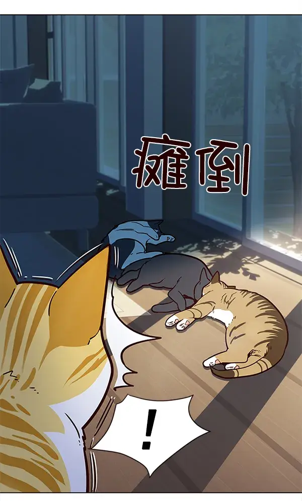 《觉醒吧，铲屎官！》第11话图33