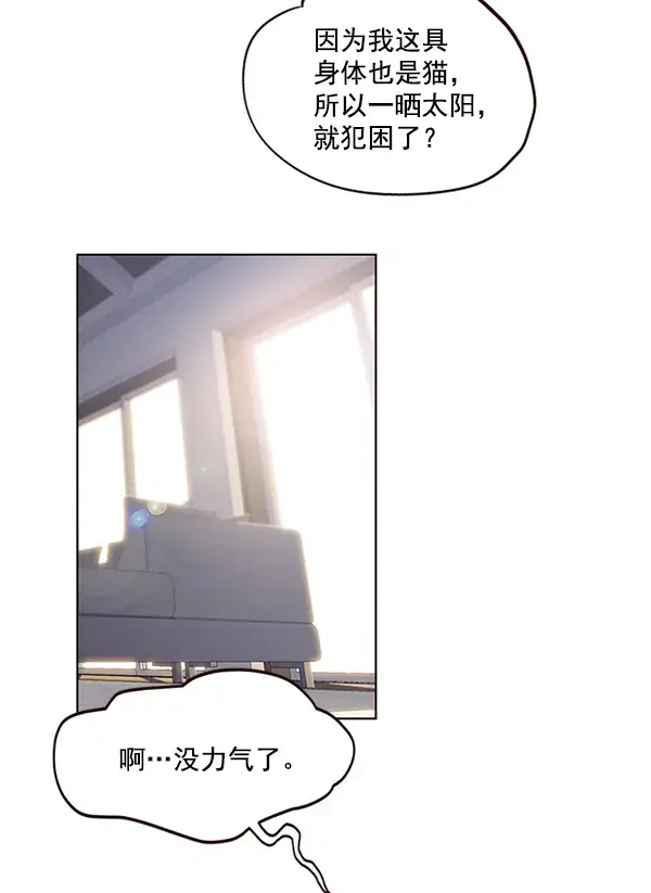 《觉醒吧，铲屎官！》第11话图40