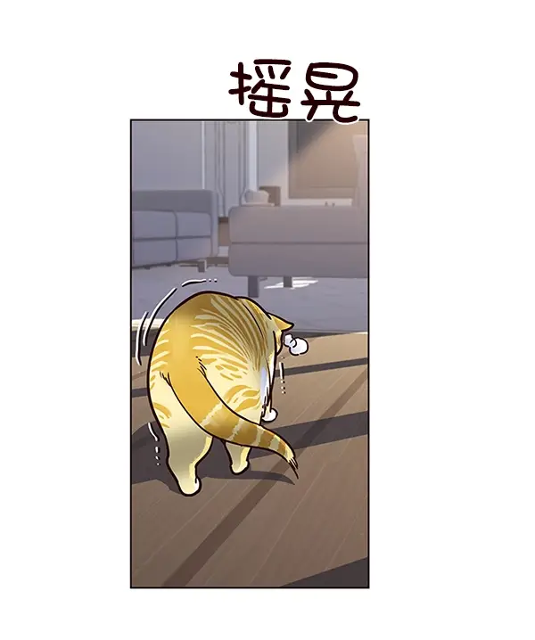 《觉醒吧，铲屎官！》第11话图43