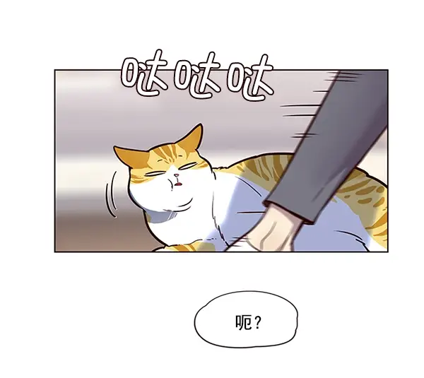 《觉醒吧，铲屎官！》第11话图77