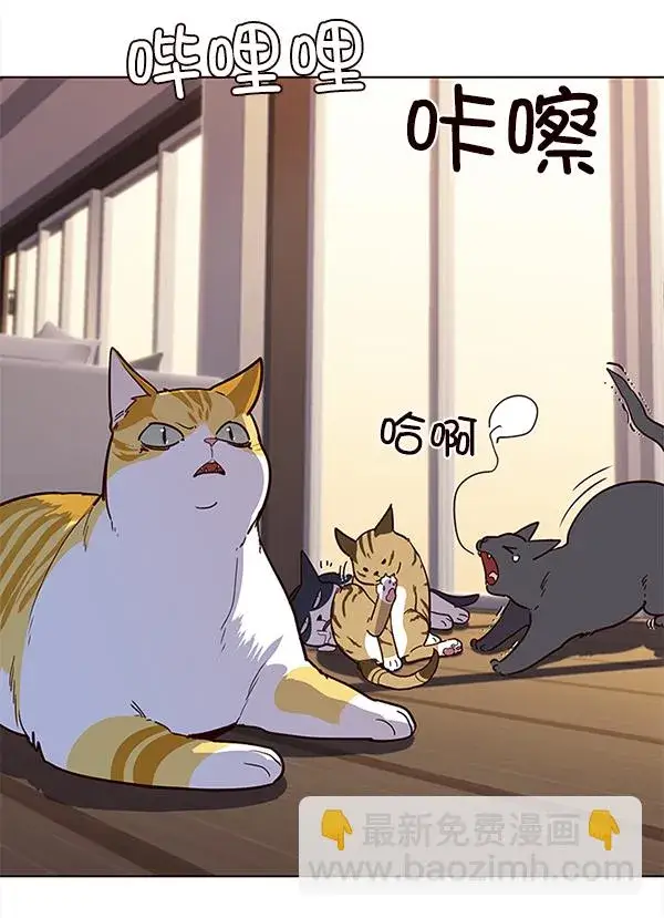 《觉醒吧，铲屎官！》第11话图81