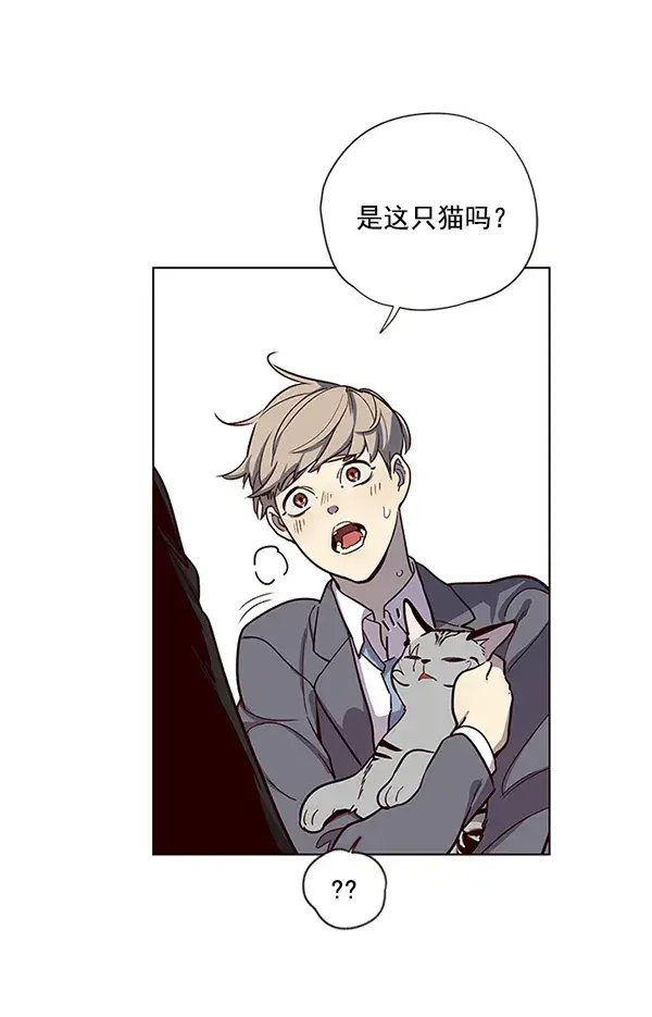 《觉醒吧，铲屎官！》第11话图86