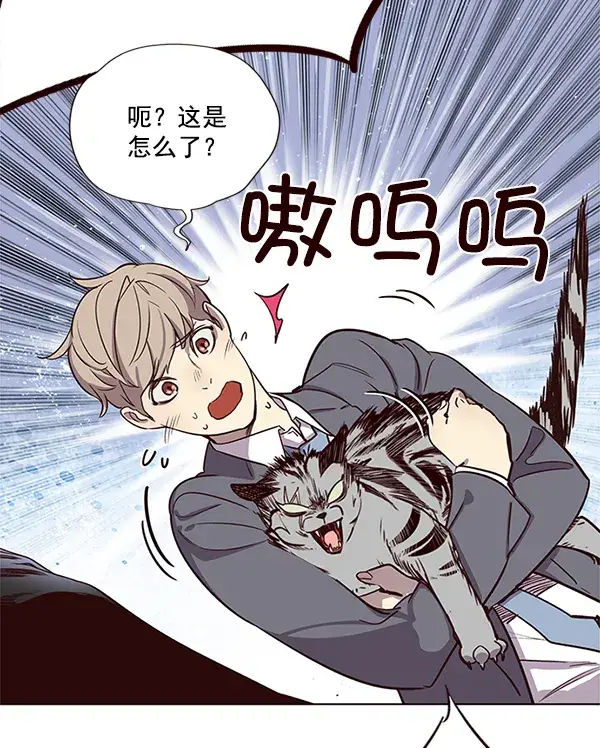 《觉醒吧，铲屎官！》第11话图94