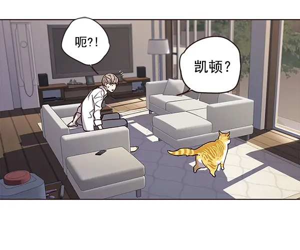 《觉醒吧，铲屎官！》第16话图70