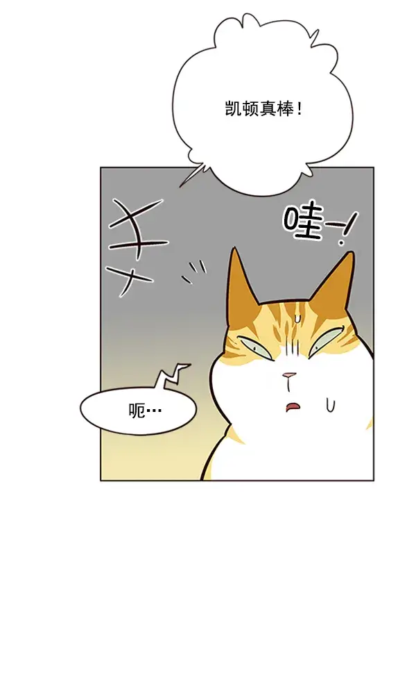 《觉醒吧，铲屎官！》第19话图61