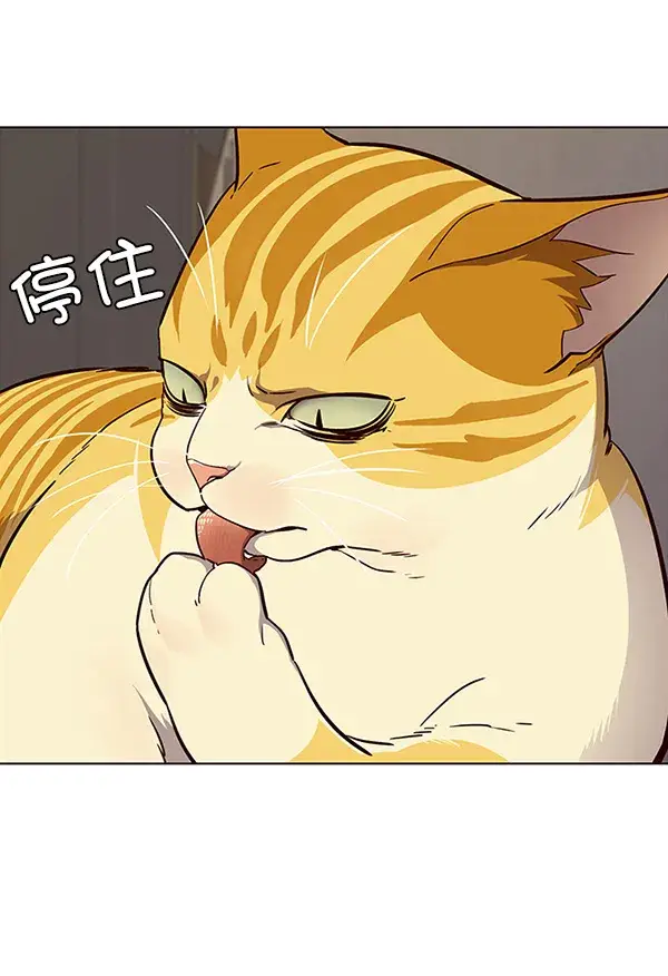 《觉醒吧，铲屎官！》第29话图27
