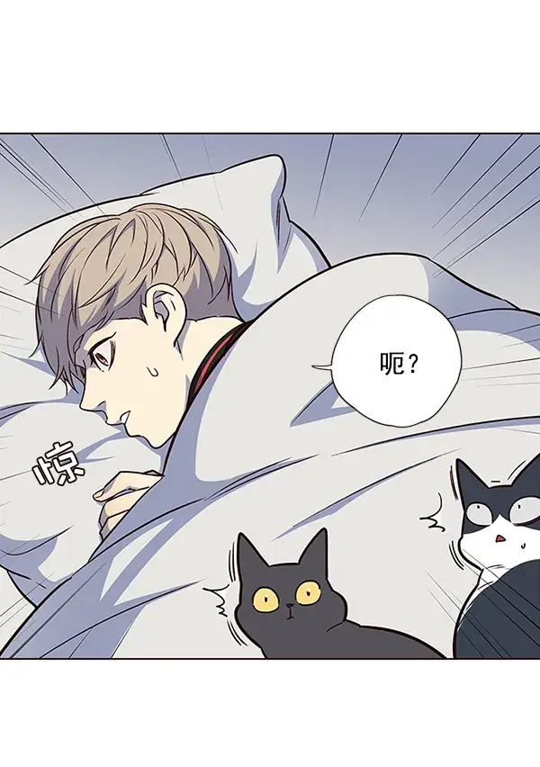 《觉醒吧，铲屎官！》第36话图61