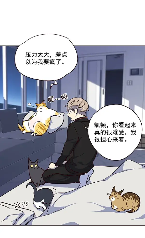 《觉醒吧，铲屎官！》第36话图69