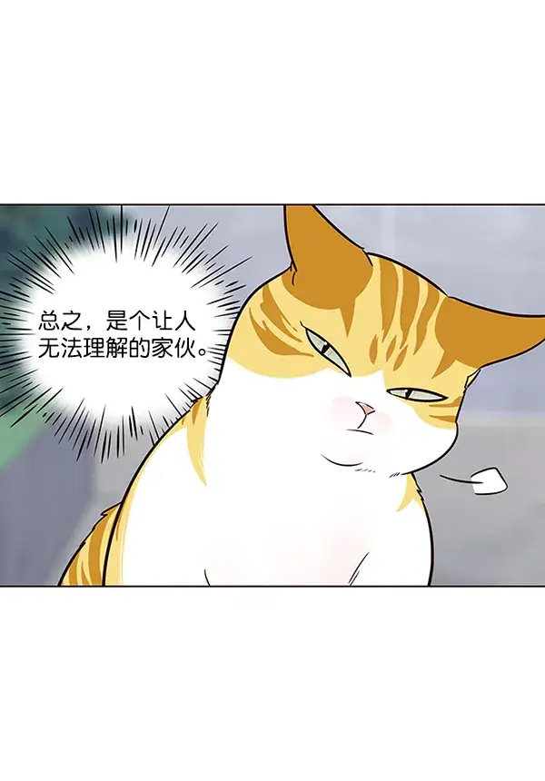 《觉醒吧，铲屎官！》第36话图90