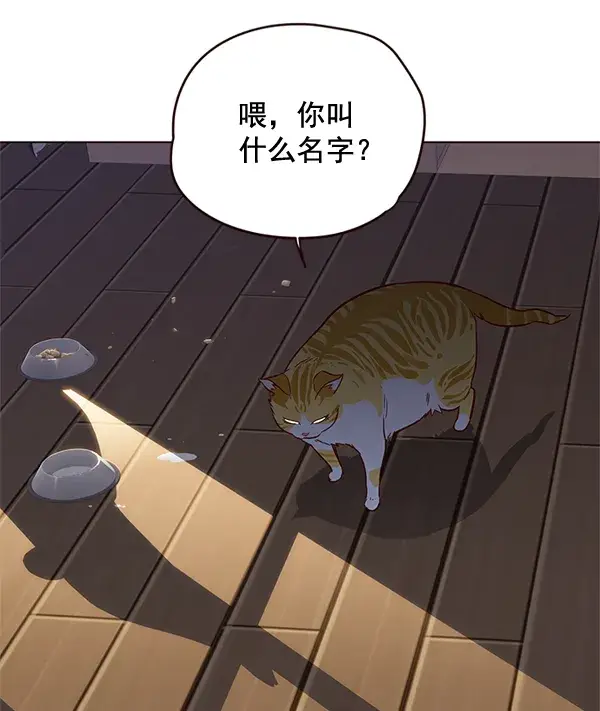 《觉醒吧，铲屎官！》第1话图111