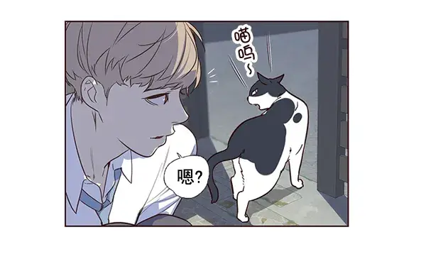 《觉醒吧，铲屎官！》第1话图57