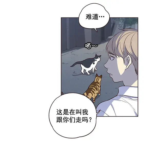 《觉醒吧，铲屎官！》第1话图59