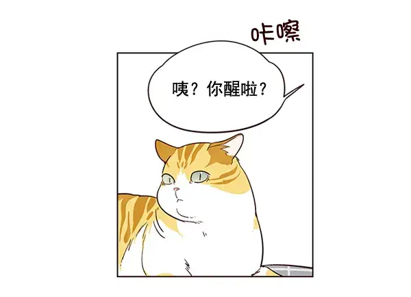 《觉醒吧，铲屎官！》第1话图77
