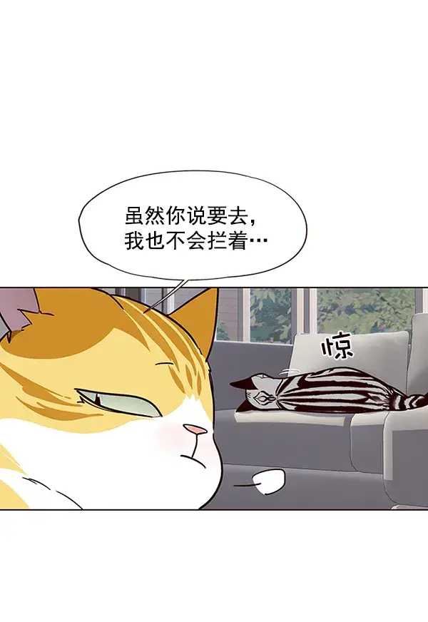 《觉醒吧，铲屎官！》第37话图37