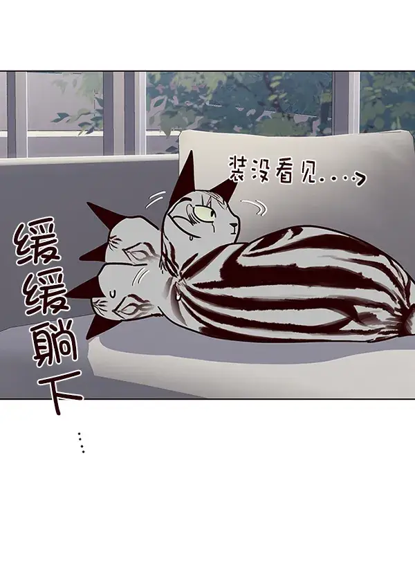 《觉醒吧，铲屎官！》第37话图42