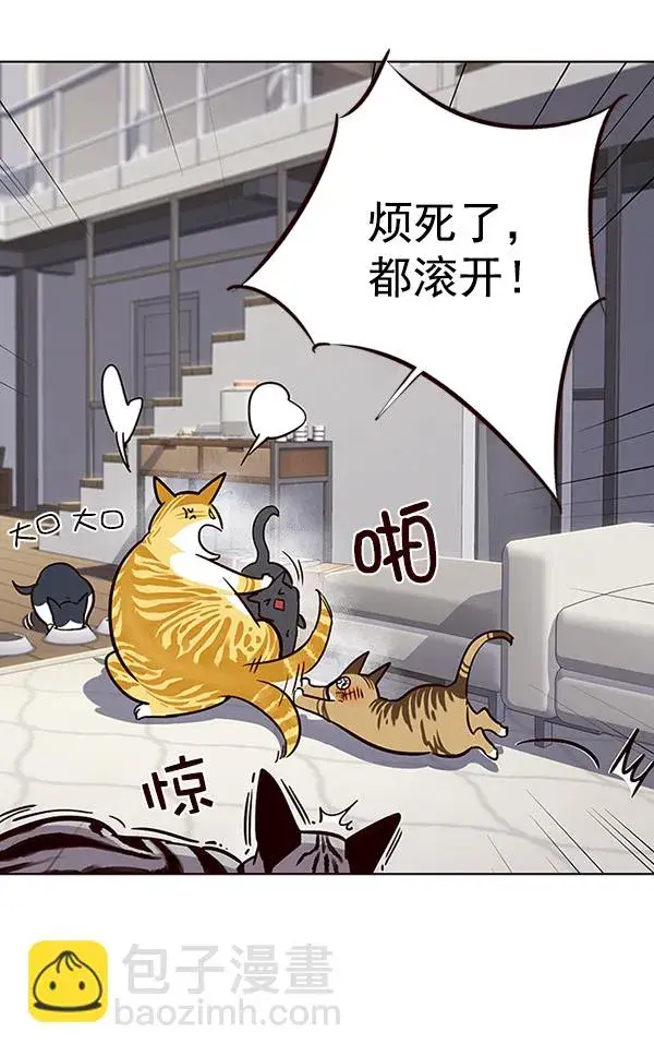 《觉醒吧，铲屎官！》第37话图60