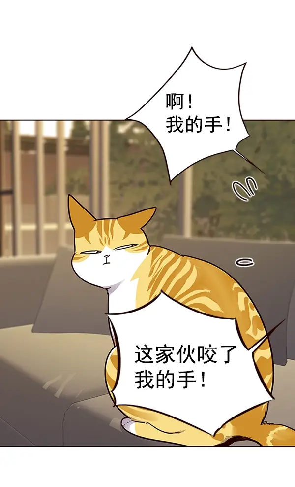 《觉醒吧，铲屎官！》第38话图54