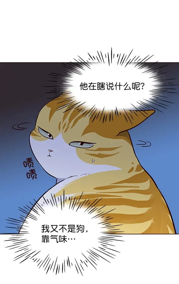 《觉醒吧，铲屎官！》第41话图61