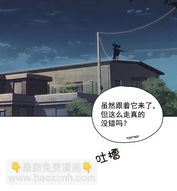 《觉醒吧，铲屎官！》第41话图89