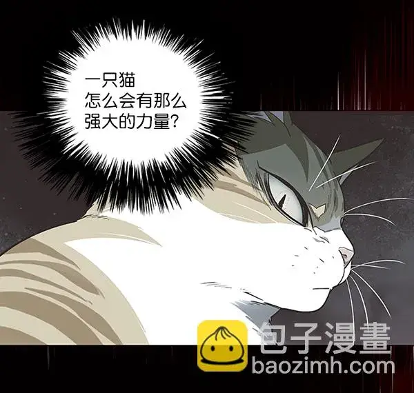 《觉醒吧，铲屎官！》第46话图46