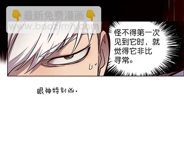 《觉醒吧，铲屎官！》第46话图47