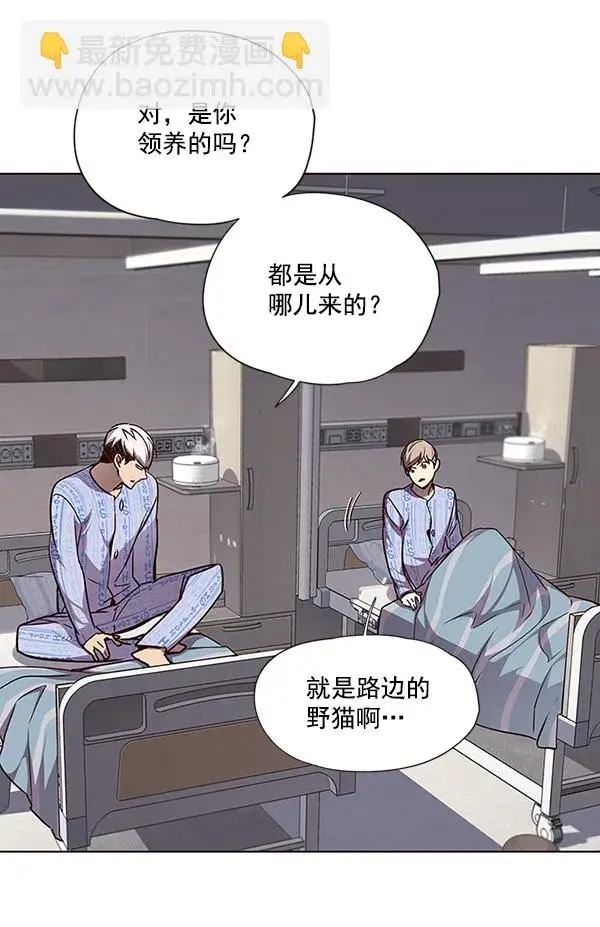 《觉醒吧，铲屎官！》第46话图51