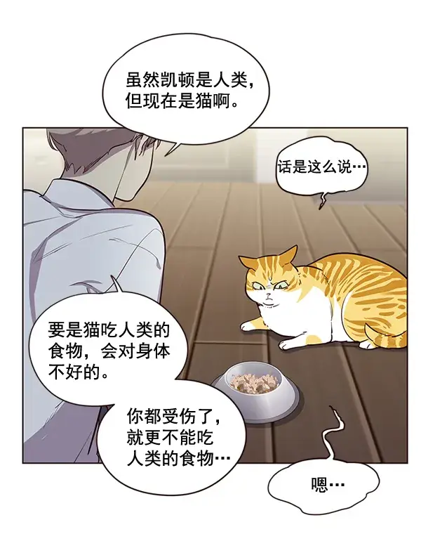 《觉醒吧，铲屎官！》第2话图29