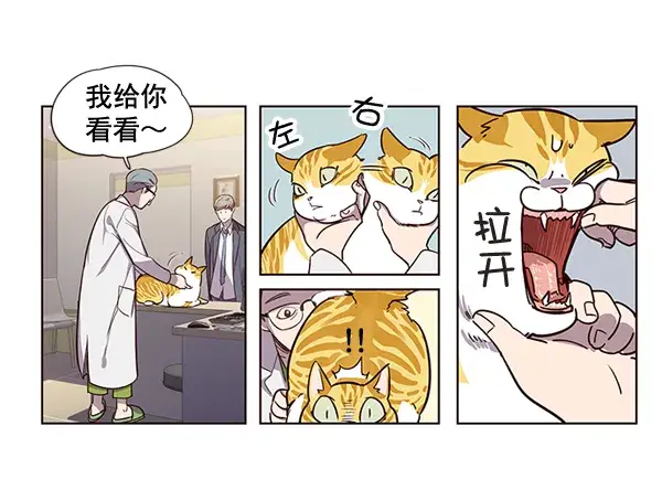 《觉醒吧，铲屎官！》第2话图67