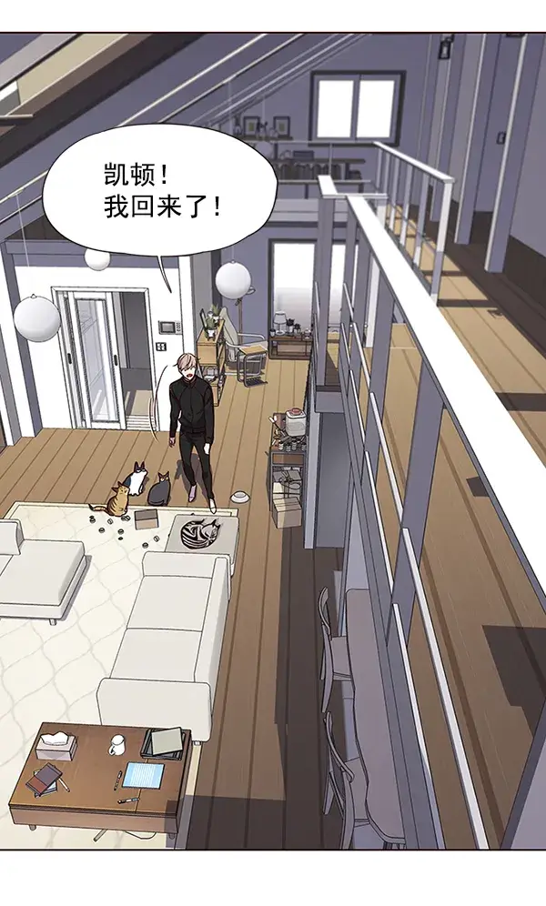 《觉醒吧，铲屎官！》第47话图33