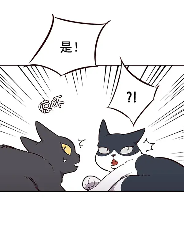 《觉醒吧，铲屎官！》第50话图24