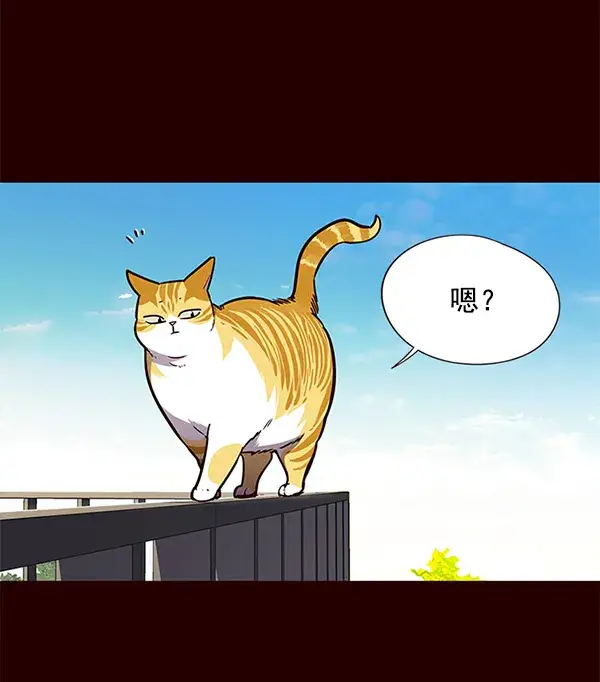 《觉醒吧，铲屎官！》第52话图42