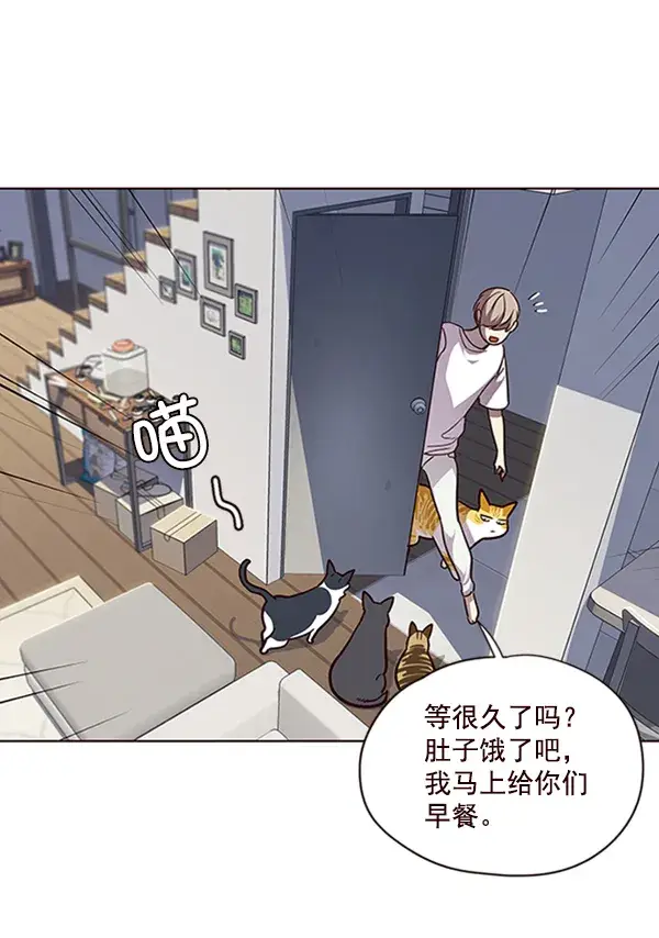 漫画《觉醒吧，铲屎官！》第55话第15张图