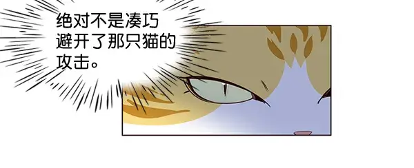 《觉醒吧，铲屎官！》第3话图109