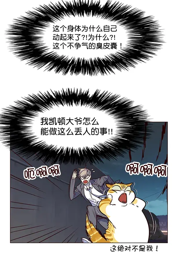 《觉醒吧，铲屎官！》第3话图34
