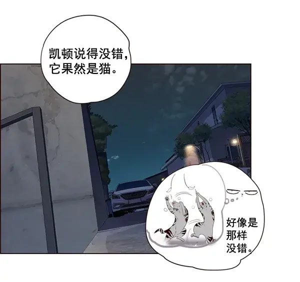 《觉醒吧，铲屎官！》第3话图46
