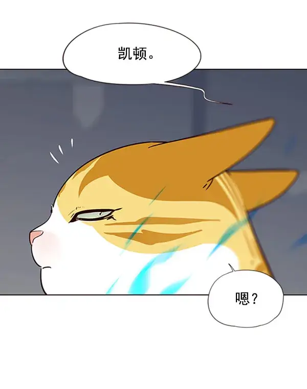 漫画《觉醒吧，铲屎官！》第57话第11张图