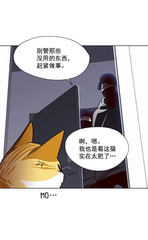 漫画《觉醒吧，铲屎官！》第57话第96张图