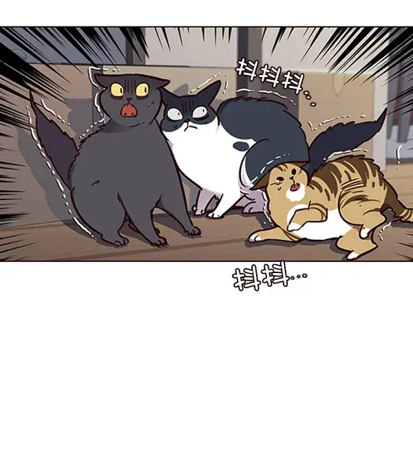 漫画《觉醒吧，铲屎官！》第58话第13张图