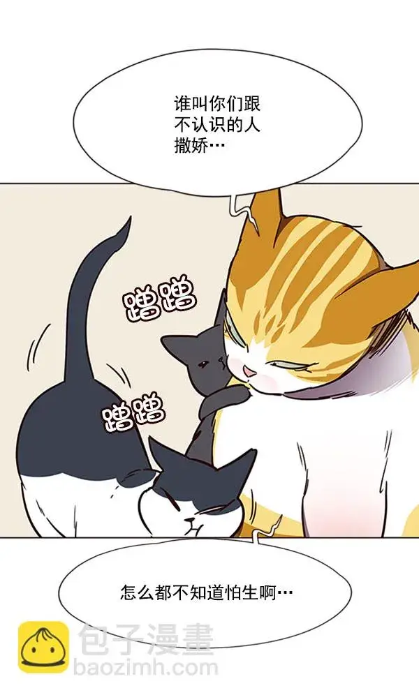 漫画《觉醒吧，铲屎官！》第58话第57张图