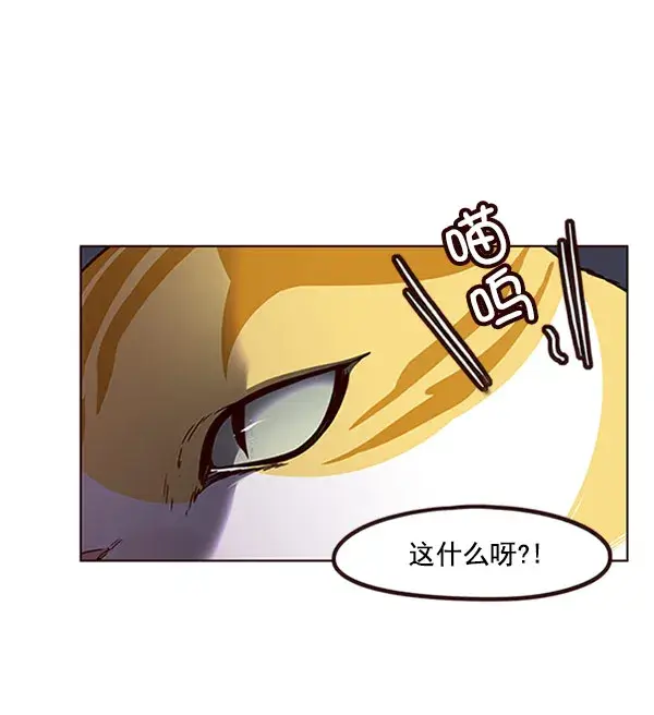 漫画《觉醒吧，铲屎官！》第58话第6张图